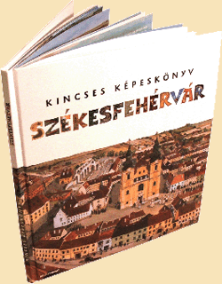 Könyvmakett Székesfehérvár